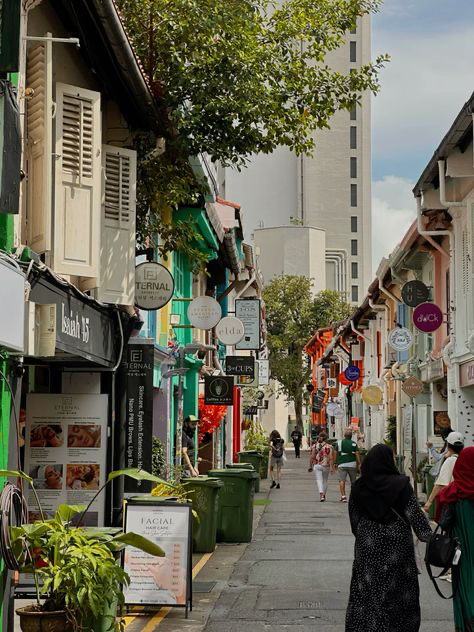 a vibrant and colorful street scene in haji lane, singapore. the image shows a narrow alley lined with traditional shophouses painted in various bright colors.  numerous small businesses are visible, including beauty salons, with signage indicating services offered. people are walking along the street, creating a lively atmosphere. lush green trees provide shade along the walkway. a modern highrise building is visible in the background, contrasting with the historic architecture of the shophouses. the overall impression is one of a busy, yet charming and culturally rich urban setting in singapore.