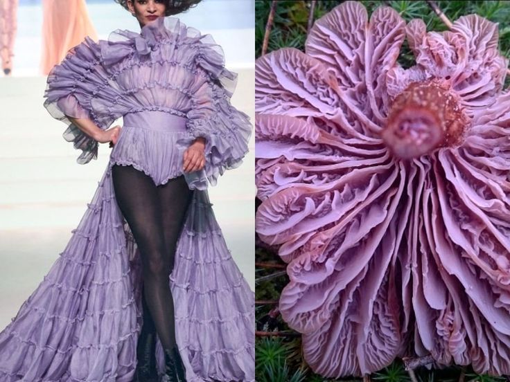 the image is a split image. on the left side, a fashion model walks the runway in a lavish, fulllength dress crafted with ruffles and layers of delicate purple fabric. her ensemble features a fitted bodice, a flowing skirt with multiple ruffles, and sheer long sleeves. her attire exudes elegance and sophistication, capturing the essence of highfashion design.on the right side, a closeup shot reveals a captivating purple mushroom, its intricate details mirroring the ruffles of the dress. the mushroom's cap displays a layered structure, with numerous thin, delicate layers that curl and overlap, creating a texture reminiscent of the fashion garment. the juxtaposition of the two images highlights the unexpected connections between nature and fashion.