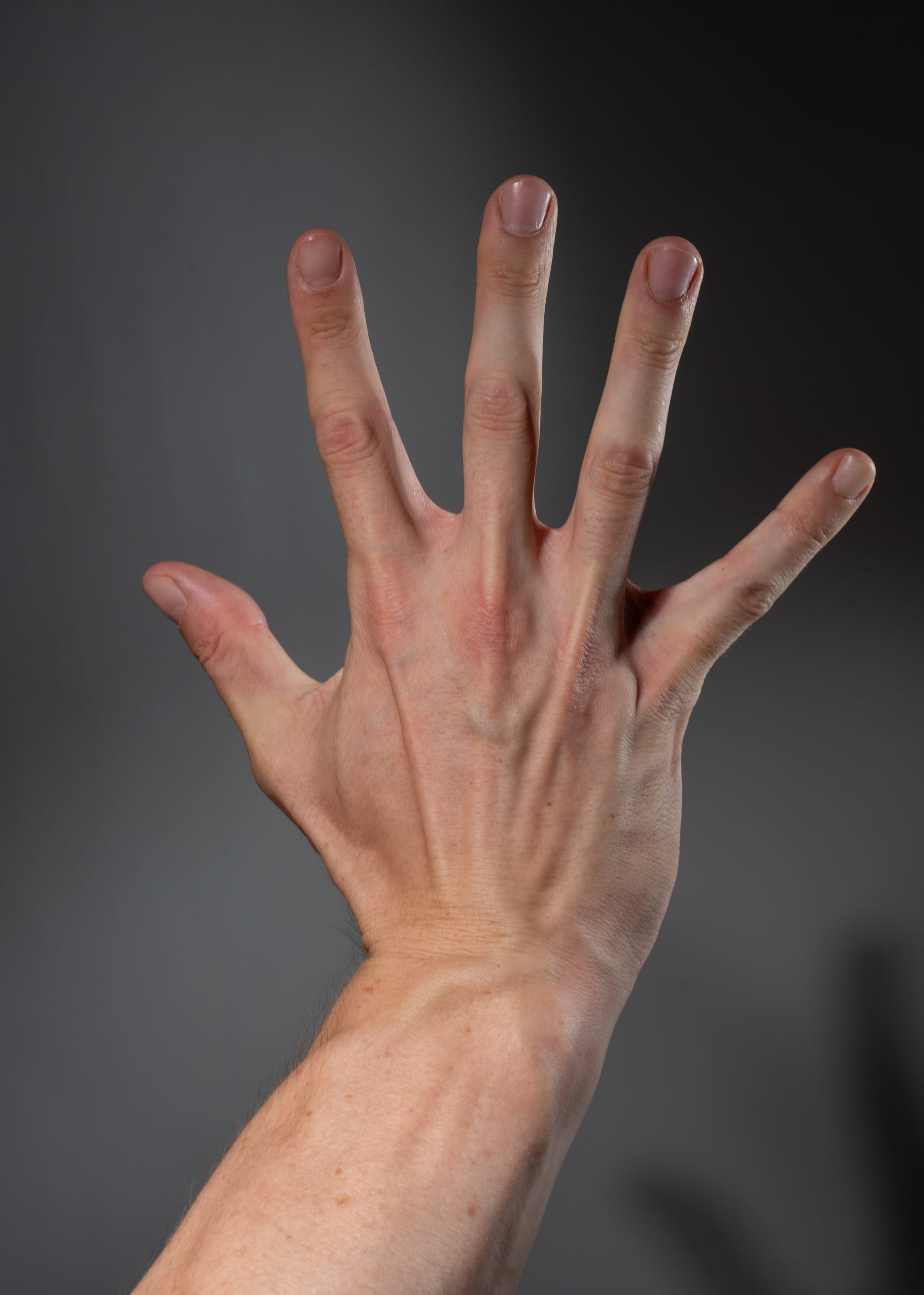 a single human hand is extended upwards against a neutral gray background. the hand is positioned with the palm facing the viewer and all five fingers spread apart. the image is welllit, revealing the intricate details of the skin, veins, and tendons. the hand is attached to a masculine arm, implying a male subject. the perspective of the image is from a low angle, looking up at the hand.