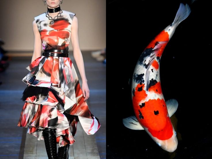the image shows a fashion model wearing a red, black, and white dress with an abstract pattern. the model is posing on a runway, and the background is blurred. to the right of the image is a closeup photo of a koi fish, a type of carp known for its beautiful colors and patterns. the koi fish is swimming in water, and its colors and patterns are similar to those of the model's dress. the image is a combination of fashion and nature, and it highlights the beauty of both.