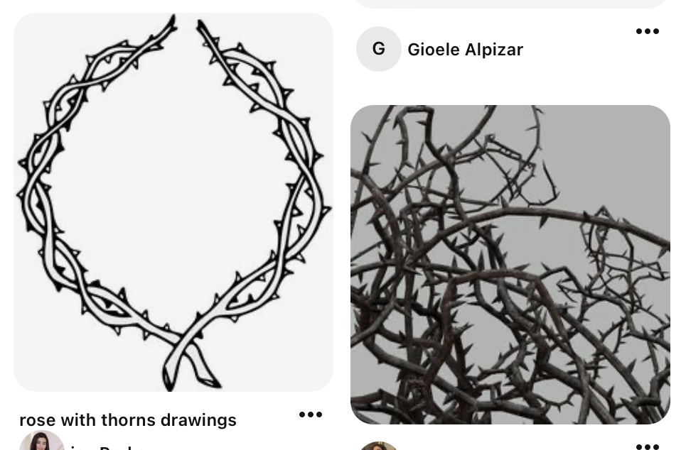 two images of thorns. one is a black and white sketch of a crown of thorns, and the other is a photo of a pile of thorns.