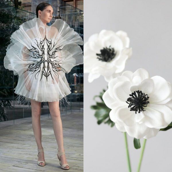 a fashion model walks the runway in a white dress with black floral embroidery and a large, dramatic design. the dress is reminiscent of a flower, echoing the white anemones in the background. the model's shoes are silver and the image has a clean and elegant look. the photo captures the essence of high fashion and the beauty of the clothes.
