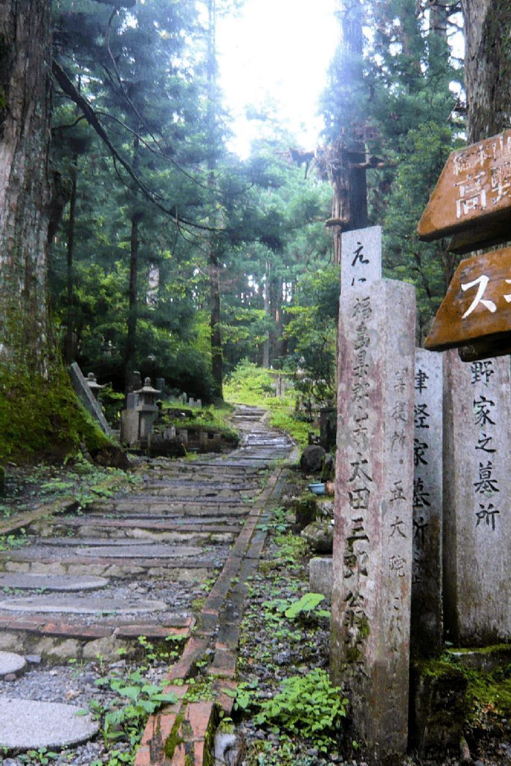 a stone pathway winds through a lush, mossy forest in a japanese cemetery.  the path is lined with old, weathered stone markers and signs written in japanese kanji.  the atmosphere is peaceful and serene, suggestive of a quiet, contemplative space.  the scene is heavily wooded, with tall trees and abundant greenery. the overall feel is ancient and traditional.