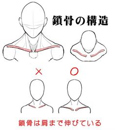 the image is an anatomical drawing tutorial, focusing on how to draw neck muscles. it shows the correct and incorrect placement of these muscles, emphasizing that the neck muscles are visible even in relaxed poses. the tutorial is presented in a simple, easytounderstand format with clear illustrations and minimal japanese text.