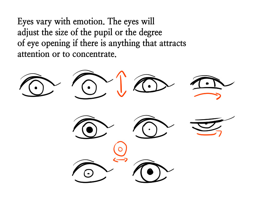black and white diagram of different eye shapes showing the pupil dilation and eye opening to convey emotion. content: drawing, diagrampeople: noneenvironment: nonelighting: noneperspective: nonekw: eye, emotion, pupil, dilation, expression, concentrate, attention
