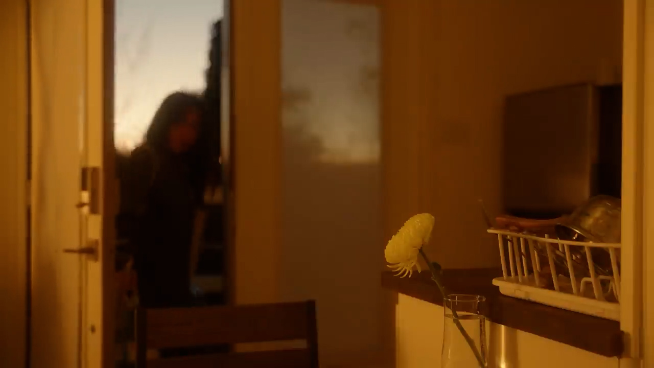 a woman, silhouetted by the warm glow of the setting sun, stands in the doorway of an apartment. the soft, golden light illuminates the room, casting long shadows and highlighting the cozy, domestic scene. a single white flower rests in a vase on the counter in the foreground, adding a touch of life and serenity to the image.  the overall atmosphere is one of peace and tranquility, capturing the simple beauty of an everyday moment.