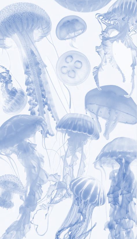 a light blue and white image filled with a group of jellyfish floating together. some of the jellyfish have long, flowing tentacles, and their bodies are transparent or translucent. the background is white.