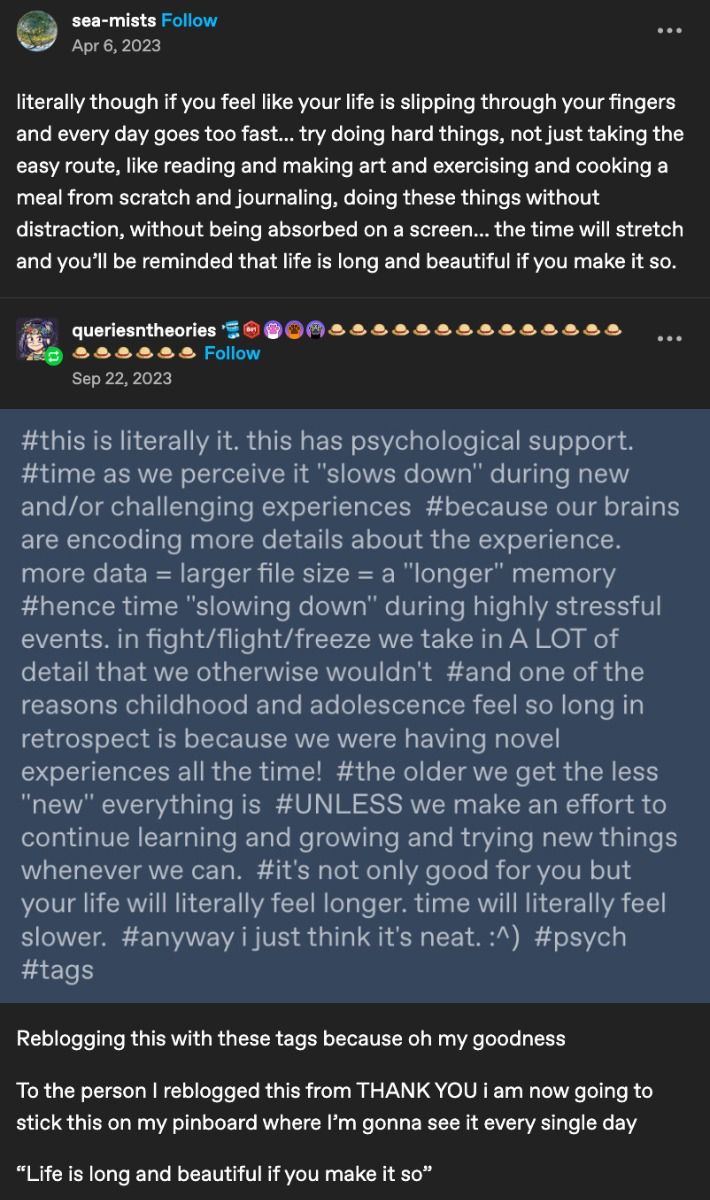 the image is a screenshot of a tumblr post by "seamists" about feeling like life is slipping away and suggesting activities to make time feel longer. the post is then reblogged by "queriesntheories" who adds tags and a commentary on the psychological aspects of time perception and the importance of new experiences for slowing down time. the screenshot ends with a reblog and a comment on putting this on a pinboard to see it every day.