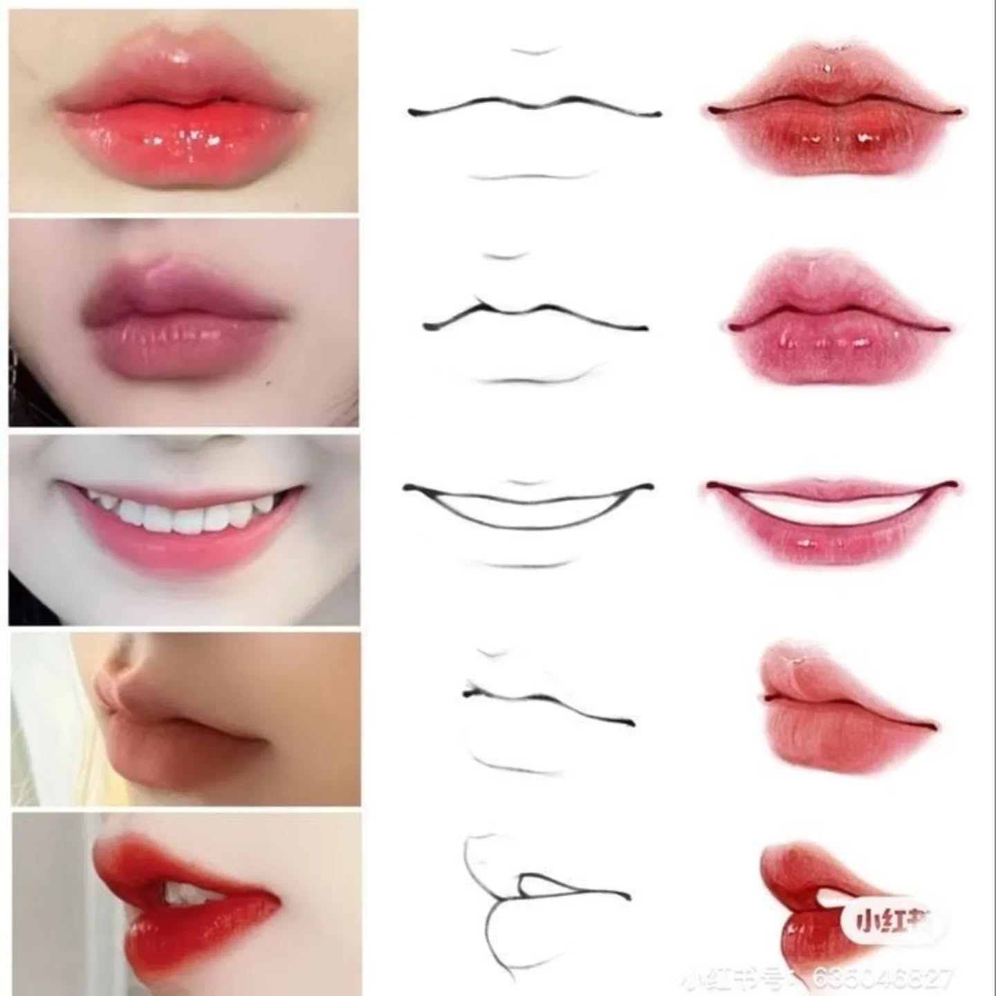 the image is a tutorial demonstrating how to draw various types of lips. it's divided into sections, each showing a reallife example of lips with a corresponding line drawing next to it.  the tutorial progresses through different lip shapes, expressions (pouting, smiling, closed, open), and the general structure of the mouth.  the reallife examples show varying shades of lipstick and lip gloss application.  the line drawings show different levels of detail, from basic outlines to more complex shading guides. the drawings would likely be used for reference in creating realistic or stylized lip art.