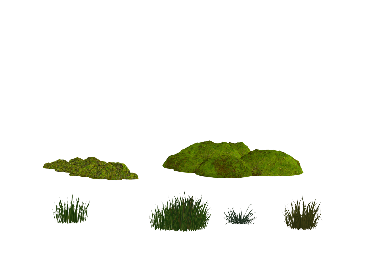 the image shows several clumps of grass and moss on a black background. there are two patches of moss and four clumps of grass. the grass varies in color from green to yellowishbrown.
