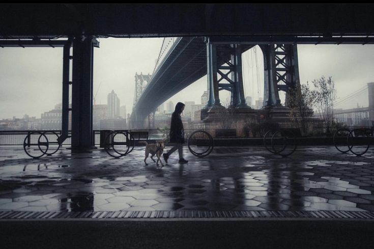 the image showcases a person walking a dog under the manhattan bridge in new york city on a rainy day. the scene is captured from a low angle, under a covered walkway or underpass, offering a perspective that emphasizes the scale of the bridge and the city's skyline. the weather is gloomy and overcast, adding to the overall moody atmosphere. the person and dog are silhouetted against the backdrop of the bridge, while the wet pavement reflects the surrounding structures. the details of the bridge, the city buildings, and the underpass are all clearly visible. the overall color palette is dark and desaturated, enhancing the somber feeling of the photograph. bicycle racks are visible along the walkway.