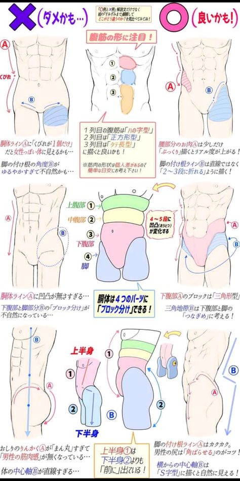 the image is a tutorial on how to draw a male body with realistic muscle definition. it is written in japanese and provides tips on how to achieve proper proportions and shading. the tutorial uses diagrams and arrows to illustrate the different muscle groups and how they connect.
