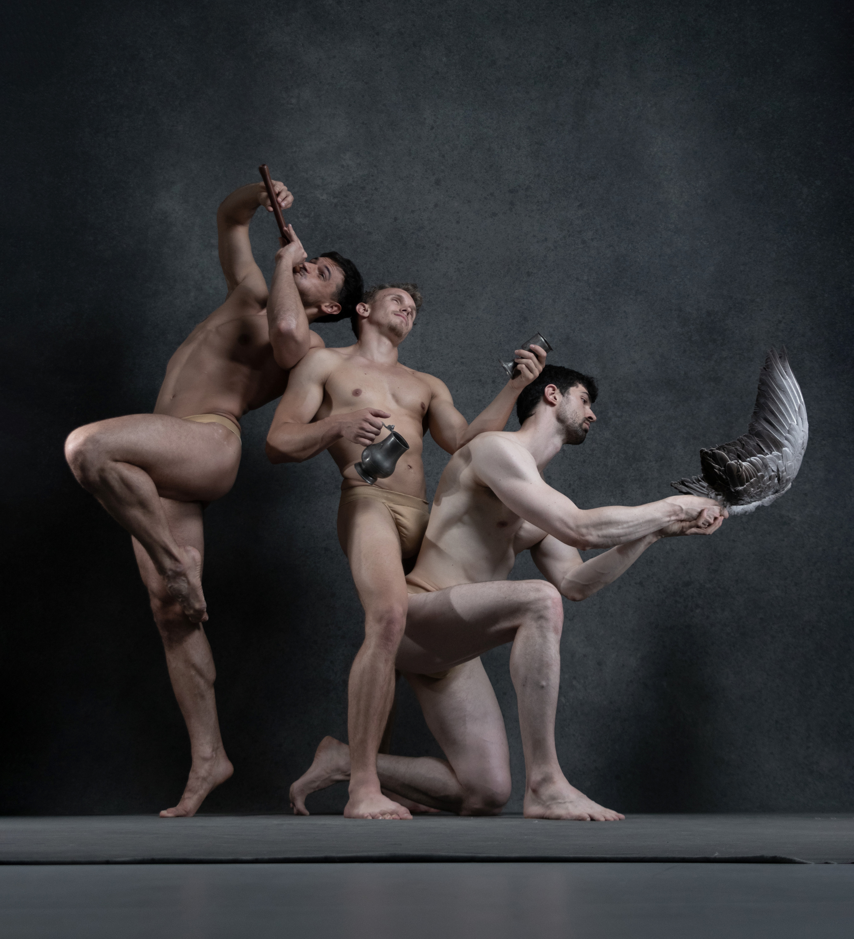 this studio photograph showcases three male dancers in a dynamic pose against a dark gray backdrop. the dramatic lighting emphasizes the lines and forms of their bodies, highlighting their muscular physiques. they are all nude, save for minimalist, neutraltoned undergarments. the dancer on the left is captured midair, suggesting a leap or jump, while the other two dancers create a grounded base with their poses. one of them holds a bird wing aloft, adding a layer of symbolism and intrigue to the composition. the image exudes a sense of strength, grace, and artistic expression.