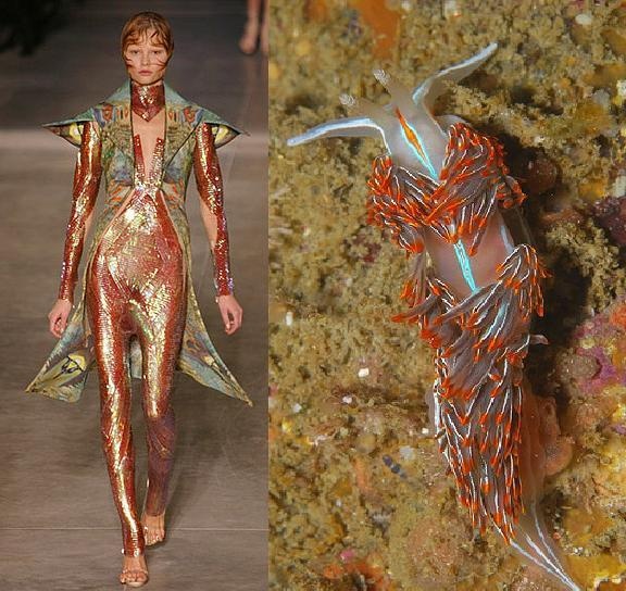 the image is a split image showing a fashion model on a runway on the left and a sea slug on the ocean floor on the right. the model is wearing a gold, red, and black outfit with a complex pattern and texture. she is walking down the runway with a confident expression. the sea slug is a bright orange and white color with a long, thin body and many small, feathery appendages. it is crawling along the ocean floor, surrounded by sand and rocks. the image highlights the beauty of both fashion and nature and suggests a connection between the two. the outfit, with its abstract and organic design, evokes the form of the sea slug, while the sea slug's vibrant colors and unusual shape inspire the fashion designer. the image is a reminder that beauty can be found in both the natural and manmade worlds.
