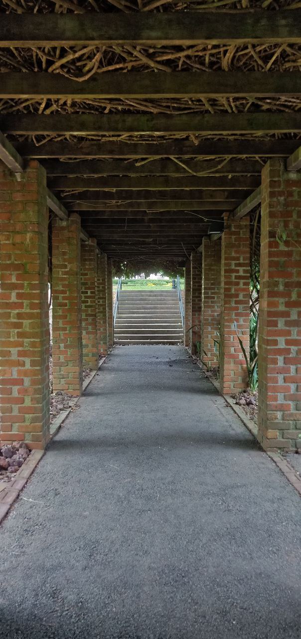 looking down a brick pathway that leads to a set of stairs under an archway made of wood and vines. the archway is made of old wood and has a rustic look.  the pathway and stairs are also made of stone. the path is lined with brick on either side.  the brick and the wood are weathered and old, giving a sense of age to the scene.  the scene has an old, natural, and rustic look.