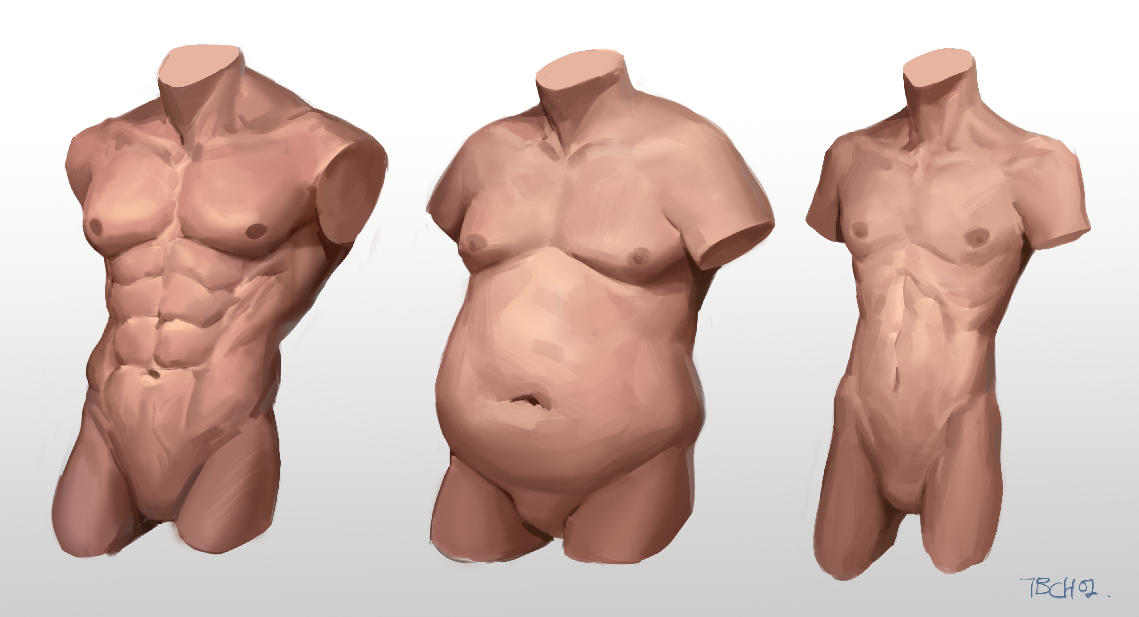 the image displays a digital painting depicting three male torsos from the same angle, showcasing different body types. the torso on the left has welldefined musculature, indicating a lean and athletic build.  the central figure displays a significant amount of abdominal fat, representing an obese body type. the torso on the right exhibits a thinner physique with less pronounced muscle definition than the first but more than the second.  the painting is rendered in a realistic style with soft shading and highlights to create a threedimensional effect.  the consistent pose and angle allow for easy comparison of the different body compositions.  the style appears to be an anatomical study for artists.