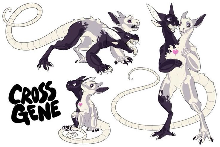 the image features a stylized cartoon illustration of a twoheaded dragon with a black and white color scheme. there are three different poses of the dragon shown. the design includes a pink heart on the chest of one of the dragon poses. the text "cross gene" is also visible in bold black letters. the overall style is whimsical and imaginative.