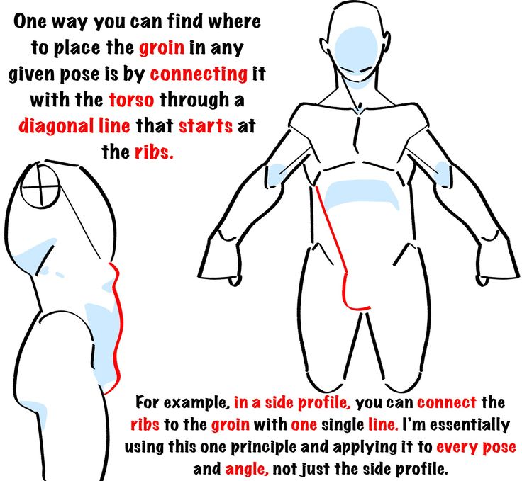 he image is a drawing tutorial demonstrating how to accurately place the groin in various poses. it uses a simplified human figure and shows how connecting the ribs to the groin with a diagonal line provides a consistent guideline, regardless of the pose's angle.  the tutorial highlights the use of this single principle applied across different poses.  there are two examples: a frontal view and a side profile.