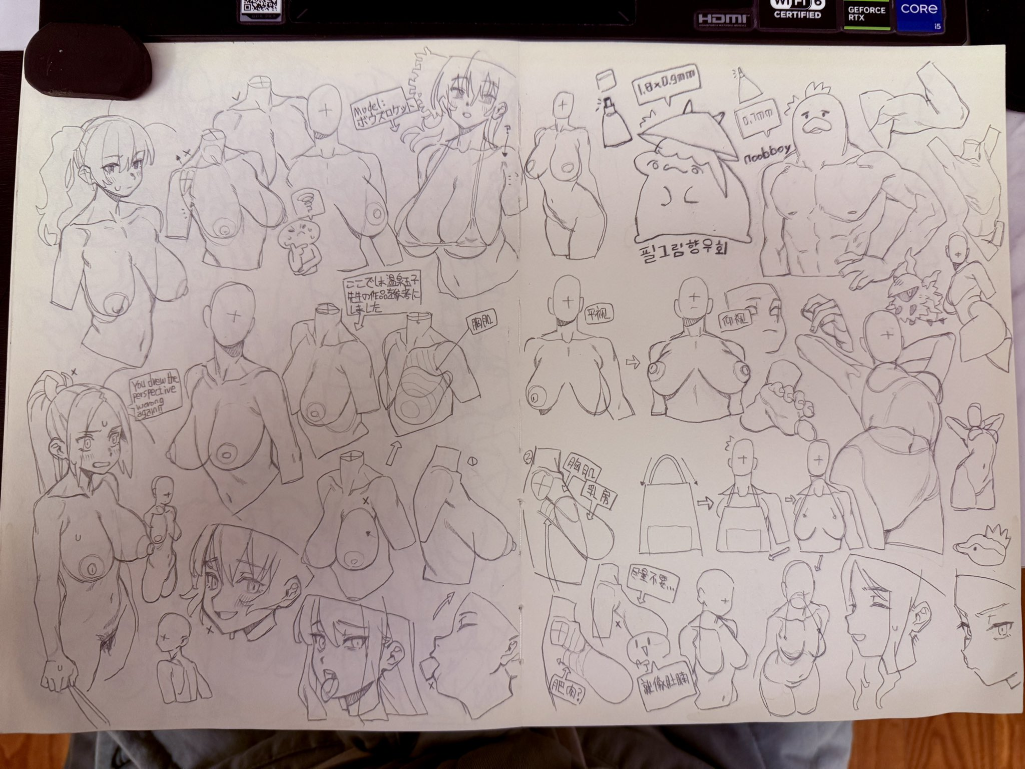 the image is a page filled with various pencil sketches of animestyle figures and body parts. there are multiple studies of female torsos with different breast sizes and positions, some with clothing outlines. also present are sketches of male figures, facial expressions, and body poses, along with notes written in japanese and korean.