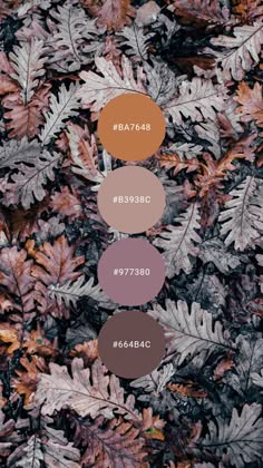 this image shows a close up of autumn leaves in various shades of brown, orange, pink, purple, and gray. the leaves are arranged in a random pattern, creating a beautiful and textured background.