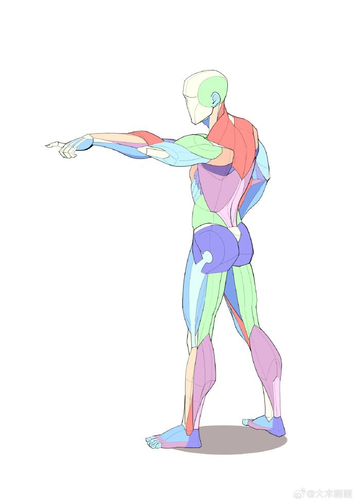 he image showcases a stylized, pastelcolored illustration of human male anatomy, viewed from the back. the figure is depicted with simplified, yet discernible muscle groups rendered in various pastel hues. the figure's pose involves a slight turn with one arm extended outwards, suggesting movement or gesture. the style appears to be geared towards art students or enthusiasts seeking a simplified yet informative representation of the human muscular system. the style blends aspects of cartoon and realism, possibly as an instructional tool.