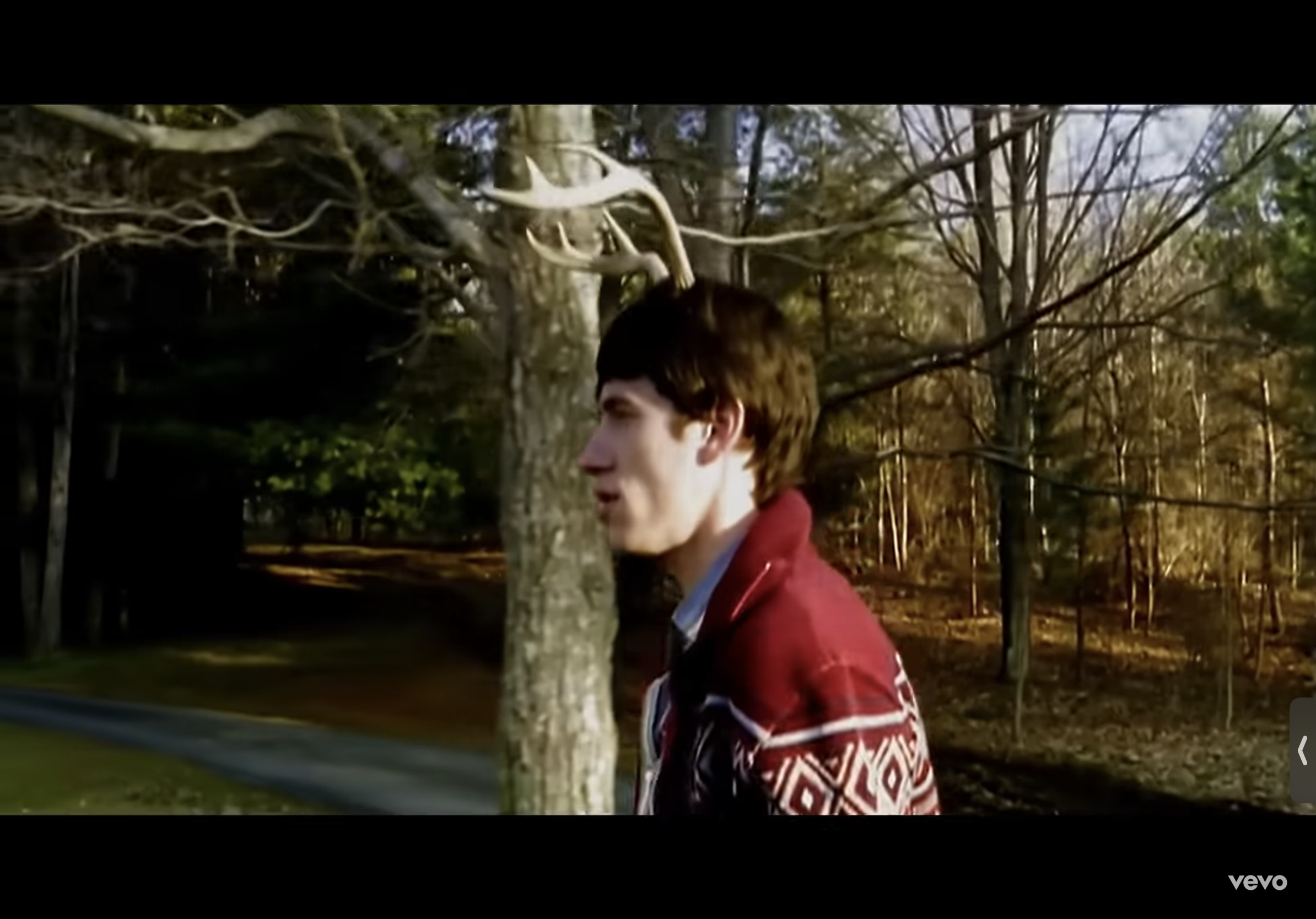 a young man with brown hair and a maroon cardigan is standing in a forest. he is looking to the left of the frame and appears to be deep in thought. the trees are bare, indicating it may be autumn or winter. the lighting is natural and soft, creating a serene atmosphere. the overall tone of the image is warm and earthy.