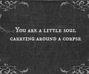 the image is a dark gray, almost black, textured background with a quote in white text. the quote, in uppercase, reads, "you are a little soul carrying around a corpse". the top and bottom edges have a white, floral, victorianstyle decorative border.