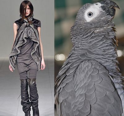 a woman is wearing a grey, edgy and chic outfit in a studio setting. her outfit consists of a long, flowing grey jacket with a layered, asymmetrical design, black pants, and stylish black boots. she's posing while being photographed. in the background, a large grey parrot is positioned beside a window.  the photo captures a modern and stylish fashion shoot, with the contrast of the grey feathers of the bird matching the grey attire of the woman in the foreground,  creating an interesting visual dynamic.  the image showcases a trend toward  contemporary fashion with a touch of an urban chic appeal.