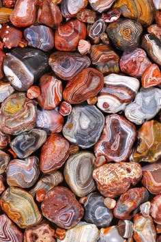 a closeup photo of a collection of agate stones. the stones are polished and reveal intricate patterns of bands of color, ranging from red, brown, white, black, gray, yellow, orange, and green. the stones are arranged in a random order, and the image highlights their smooth, shiny surface. the photo captures the beauty and diversity of agate stones.