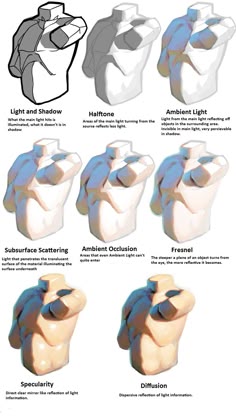 the image is a diagram showing different lighting techniques used in 3d modeling. it shows a human torso model with different lighting effects applied to it. the effects are shown in rows of two, starting from the top: light and shadow: shows a simple light and shadow effect, with clear distinction between illuminated and shadowed areas.  halftone: shows the areas where the main light source doesn't directly hit, resulting in a less illuminated area.  ambient light: demonstrates how ambient light from the surroundings affects the model.  subsurface scattering: shows the light penetrating the surface of the model, giving it a softer and more realistic look.  ambient occlusion: shows the darkening of areas where the light doesn't directly reach.  fresnel: shows how light reflects differently depending on the angle it hits the surface. specularity: shows a strong, mirrorlike reflection of light, making the surface appear shiny.  diffusion: shows a softer, more diffused reflection of light. each lighting effect is illustrated on a separate torso model, and the name of the effect is written below it, along with a brief explanation.