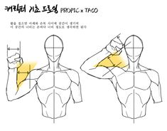 a digital illustration that shows the anatomy of the muscles in the arm and shoulder during a specific pose. the illustration features two sketches of a male figure, one with the arm raised and one with the arm down. the areas of muscle activation are highlighted in yellow. the text on the image is in korean and provides instructions or explanations related to the illustration.