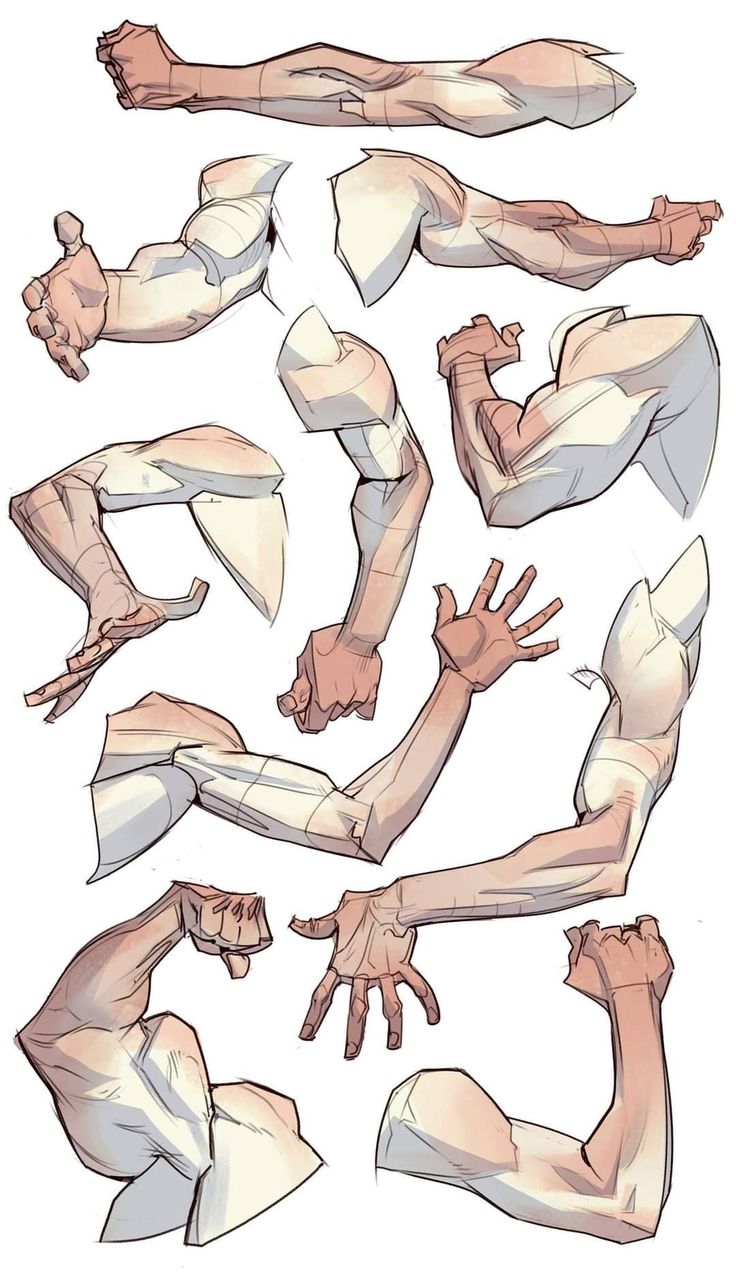 the image contains a collection of detailed drawings of male arms and hands in various poses and angles.  the drawings showcase the musculature of the arms, including biceps, triceps, and forearms, with a focus on anatomical accuracy. the style is clean and slightly stylized, suitable for reference in art or animation. the arms are shown from different viewpoints and with varying degrees of flexion and extension.  the overall effect is a comprehensive study of arm anatomy.