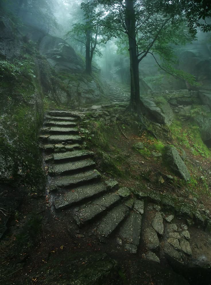 the image shows a stone stairway winding through a misty forest landscape. the stairs, covered in moss, ascend uphill and are flanked by trees and rocky terrain. the fog creates a sense of depth and atmosphere, with the scene dominated by shades of green.