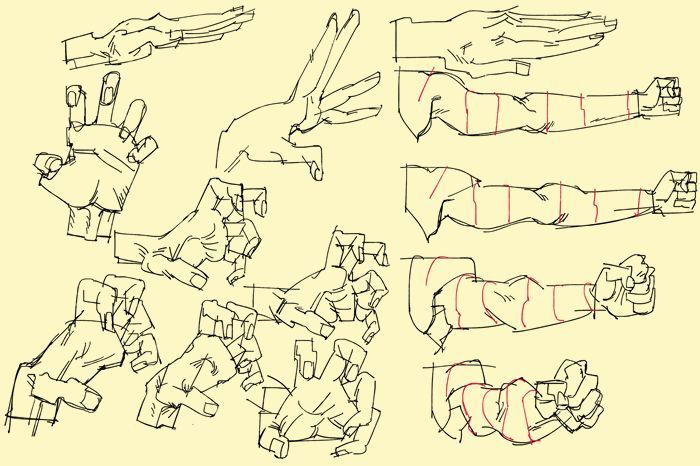 this is a drawing of various hand and arm poses. the sketch is done in black pen and shows different hand and arm positions, including a closed fist, an open hand, and a hand holding an object. the drawing is done in a realistic style and shows the muscles and tendons of the hand and arm.