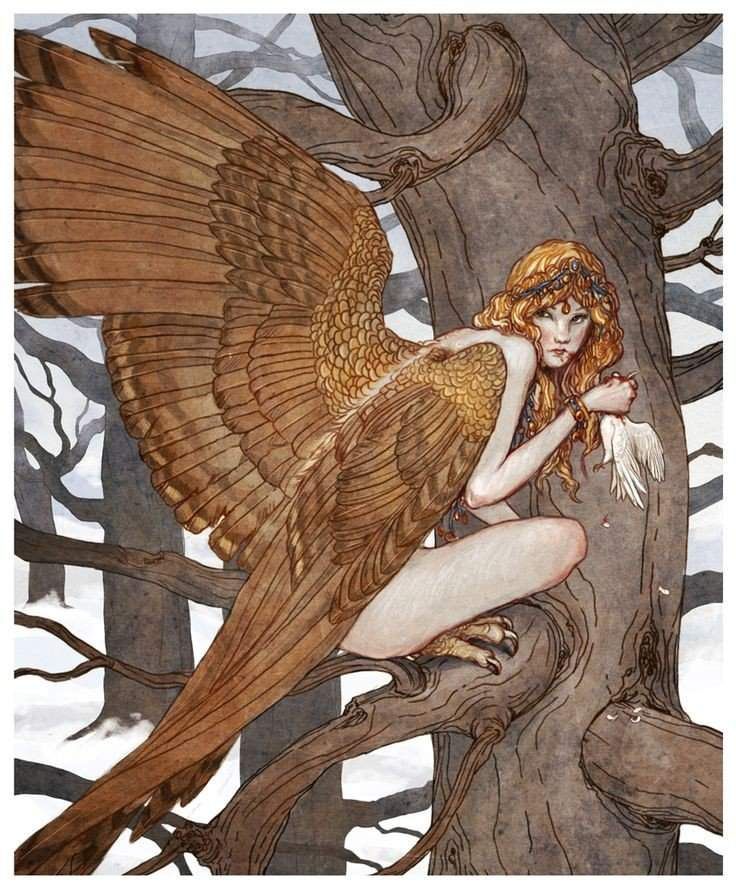 a watercolorstyle illustration depicts a harpy, a mythical creature with the upper body of a woman and the wings and claws of a bird. she sits perched on a tree branch in a dark, bare forest. she has long blonde hair and wears a tiara and jewelry. she holds a white dove in her hand. her large, detailed wings are a prominent feature, and the surrounding forest of bare trees adds to the mystical and somewhat eerie atmosphere.