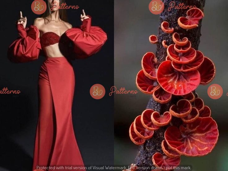 the image features a stunning woman in a red dress. the dress is a simple, elegant design that flatters her figure. the woman is looking at the camera with a confident expression. the image is also split in two, the left side showing the woman and the right side showing a red mushroom cluster, creating an interesting contrast between human fashion and natural patterns.