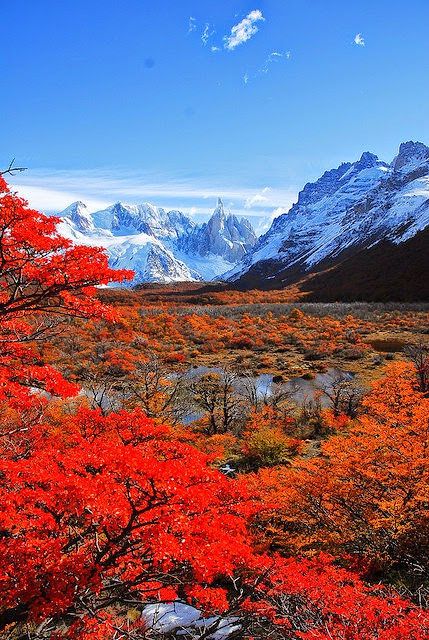 a beautiful mountain landscape with snowcapped peaks and a valley covered in fall foliage. the trees are ablaze with red and orange leaves, creating a stunning contrast against the snow and blue sky. the scene is tranquil and serene, perfect for a peaceful escape from the hustle and bustle of everyday life.