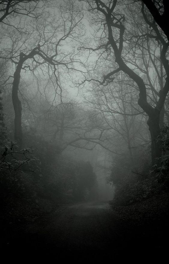 a foggy path through a dark and gloomy forest. the trees are bare and the ground is covered in leaves. the fog is thick and obscures the view.