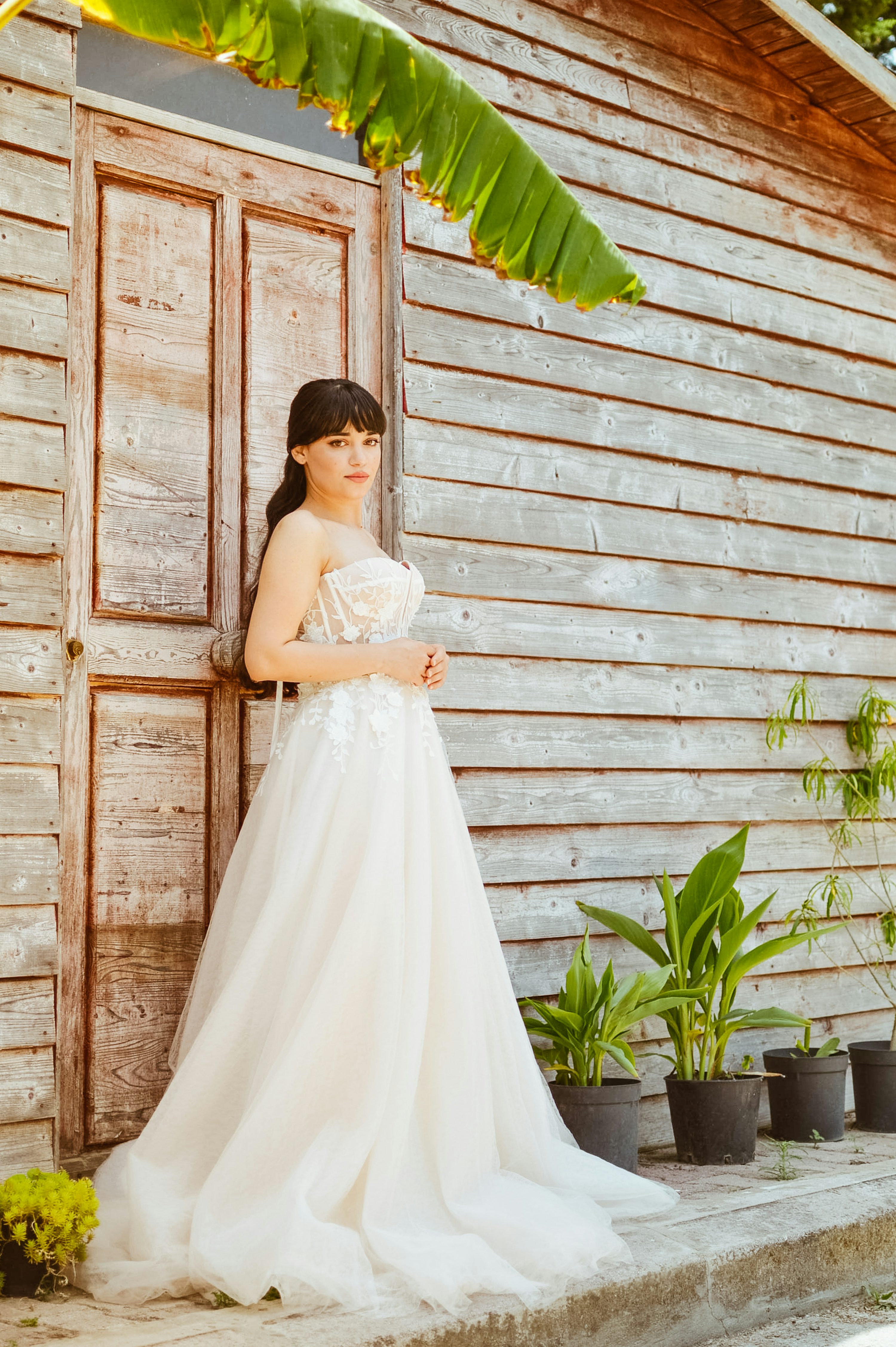 a beautiful bride in a flowing, elegant wedding gown stands against a rustic wooden building. the dress is offwhite tulle with delicate lace detailing. she is posing gracefully, her hands clasped in front of her.  several potted plants sit at the base of the building.  a large banana leaf drapes over the upper portion of the wood, creating a natural canopy. the overall mood is romantic and serene.