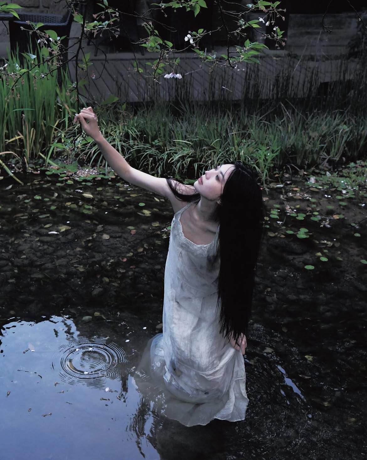 a woman with long, dark hair is standing in a body of water, possibly a pond or stream. she is wearing a lightcolored dress that appears to be wet. she is reaching up towards a tree branch with small white flowers. the water is rippling around her, and the surrounding environment is lush with grass and foliage. the overall mood is serene and somewhat mysterious, with a touch of darkness.