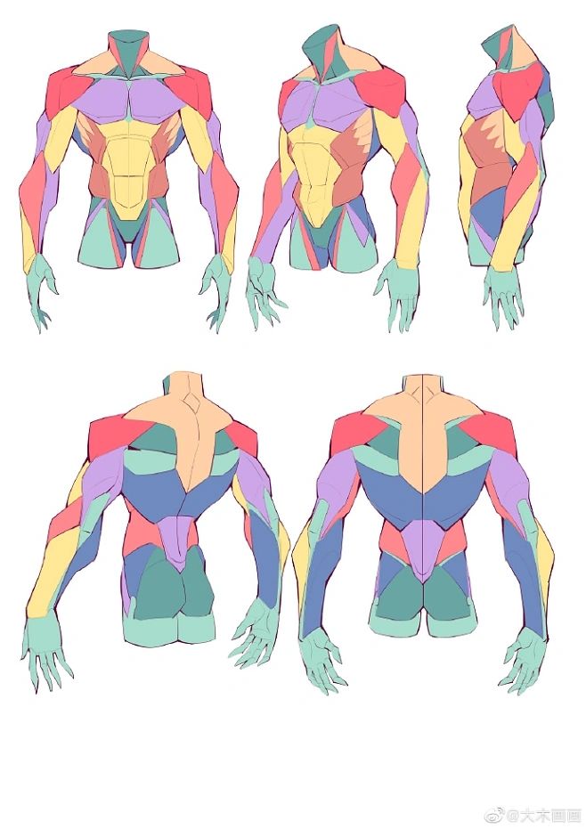 the image presents a stylized anatomical study of a male torso and arms from multiple angles. the figure is broken down into colorcoded sections representing different muscle groups, making it easy to understand the underlying structure. the style is simplified but still maintains accuracy in representing the basic forms and proportions of the human body.  four views are shown: front, back, and two side views. the style leans towards a more cartoonish or animeinfluenced aesthetic. the image serves as a helpful reference for artists wanting to improve their figure drawing and understanding of human anatomy.