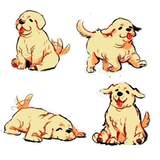the image showcases four different cartoon sketches of golden retriever puppies in various poses. one puppy sits upright, another trots forward, the third lies down playfully, and the last sits while looking upward.
