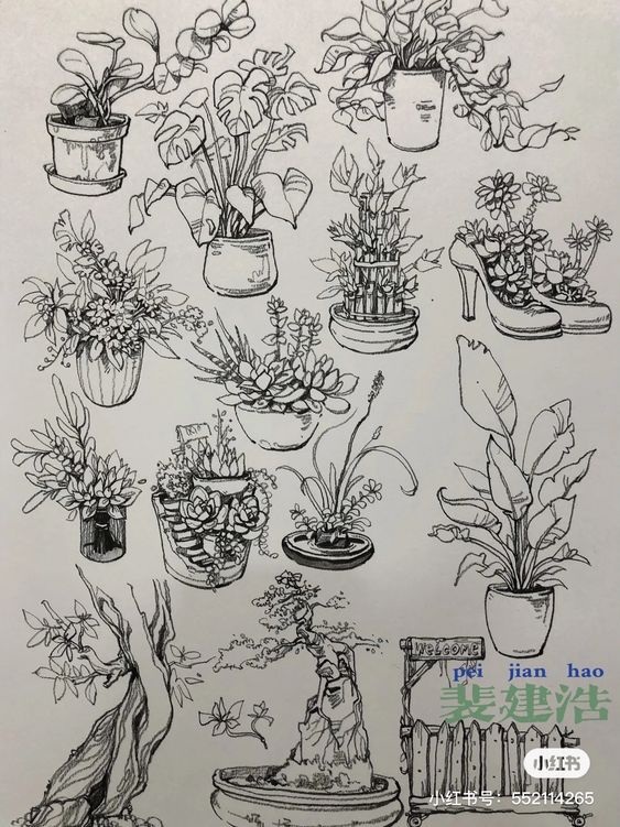 this is a black and white illustration featuring various types of plants in pots.  there are flowering plants, succulents, a bamboo plant, and two bonsai trees. the illustrations are done in a loose, sketchy style.