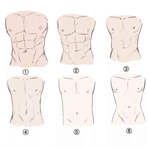the image shows six variations of a male torso sketch, focusing on different muscle definition styles. each sketch highlights the pectoral muscles, abdominal muscles, and the outline of the ribcage. the variations showcase different levels of detail and shading techniques to depict muscle tone and definition.