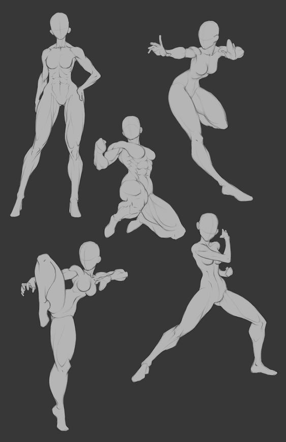 the image contains five grayscale sketches of female figures in various dynamic action poses. each figure is drawn with a focus on anatomy and musculature, showcasing different fighting stances and dynamic movements. the style appears to blend elements of stylized anatomy, potentially influenced by anime or manga. the sketches serve as valuable references for artists learning to draw human figures in motion.
