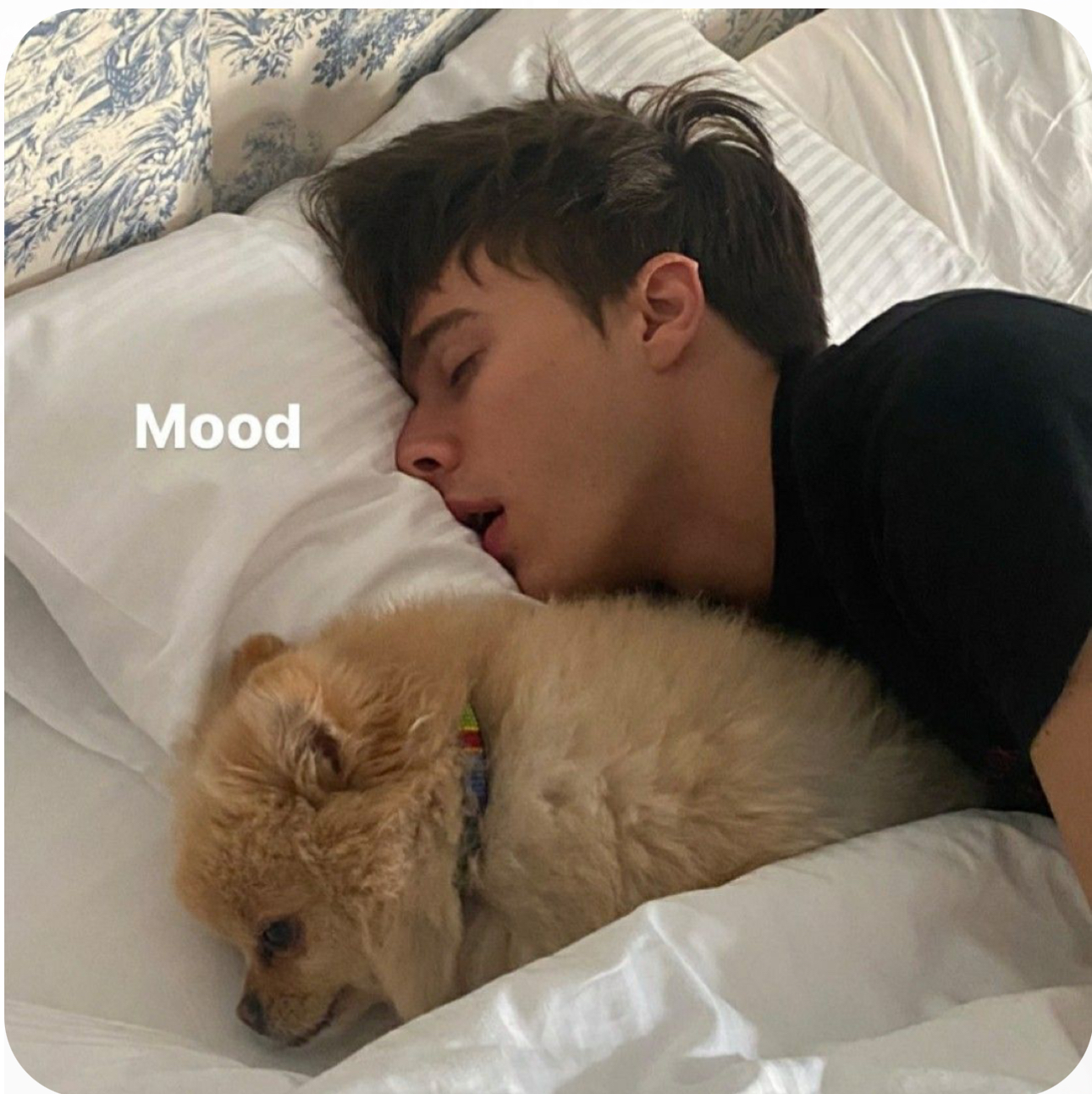 a color image of actor jacob elordi sleeping next to a small dog in a bed. the dog is light brown and wearing a blue collar, lying on a white pillow. jacob is wearing a black tshirt and is facing the camera, sleeping soundly with his mouth open. the bedspread is white with a blue toile pattern at the top.  the word "mood" is superimposed over the pillow in white lettering.  the image appears to be lit with natural light from a window.