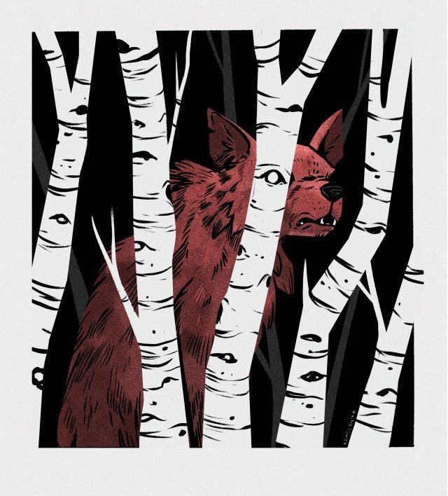 a red wolf is partially visible between white birch trees in a dark forest. the illustration has a stylized, slightly ominous feel.