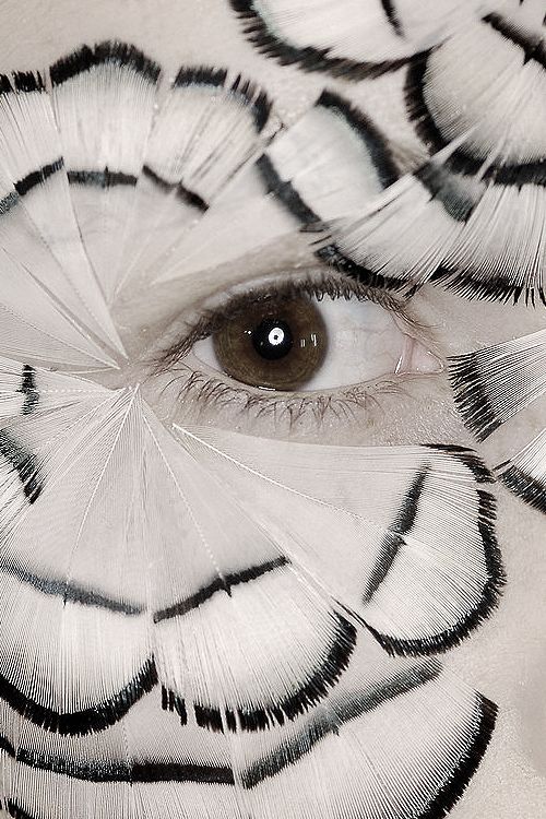 a closeup shot of a person's eye with black and white feather makeup. the eye is looking straight ahead, and the feathers are arranged in a circular pattern around the eye. the image is in black and white, and the feathers create a delicate and abstract texture.