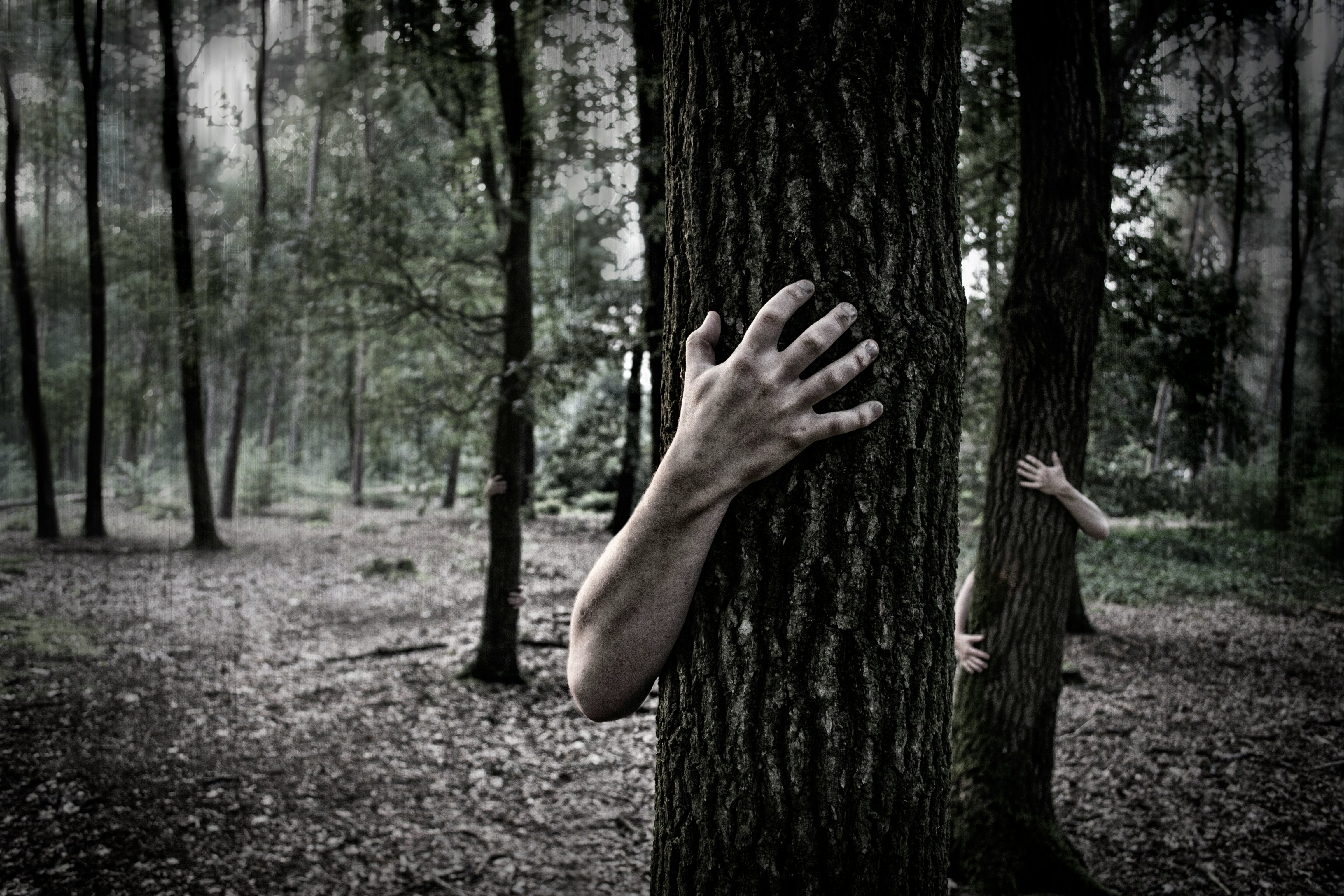two arms are shown clutching tree trunks in a dark and shadowy forest.  the image evokes feelings of unease and suggests themes of hiding, fear, or being lost in nature.