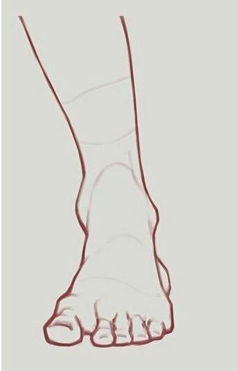 a simple outline drawing of a human foot and ankle.  the lines are red and the background is white.